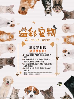 專業寵物服務，呵護愛寵健康與快樂